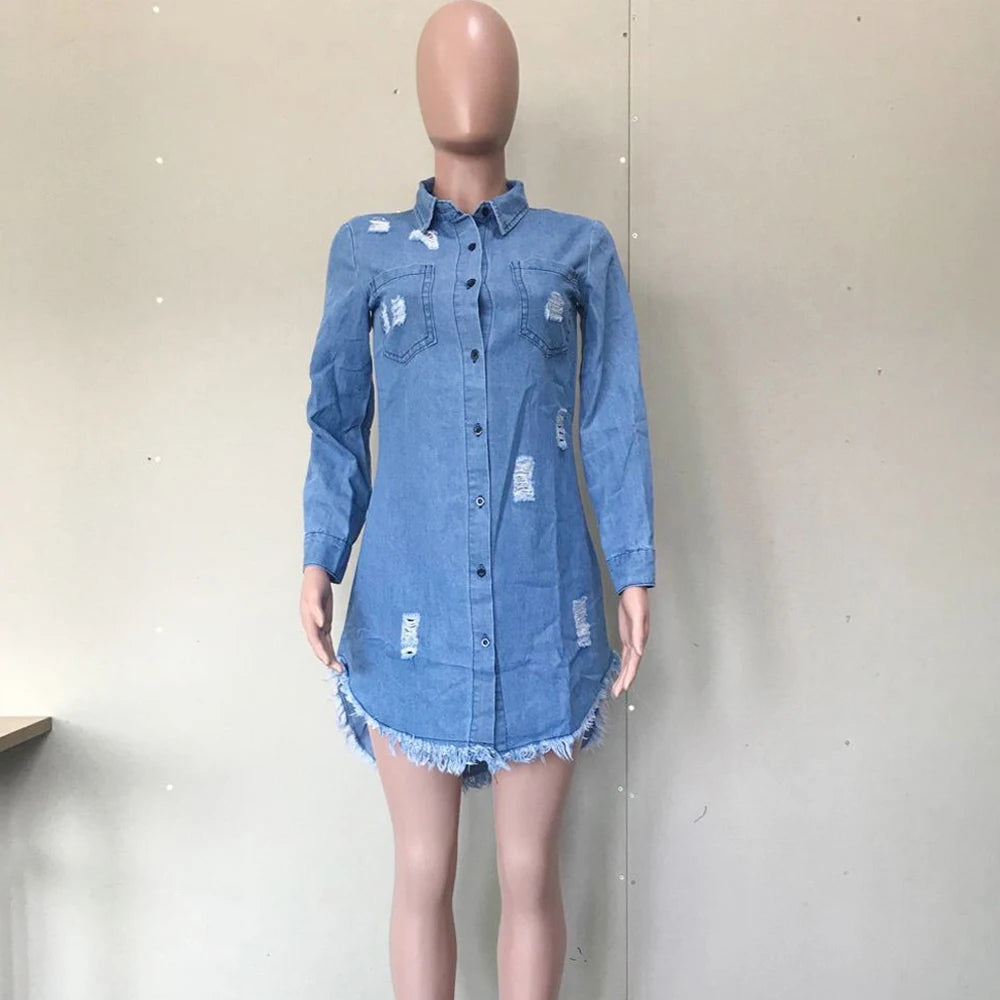 Vintage Denim Dress