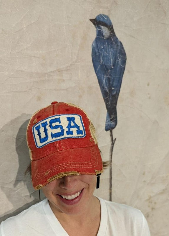 USA Hat