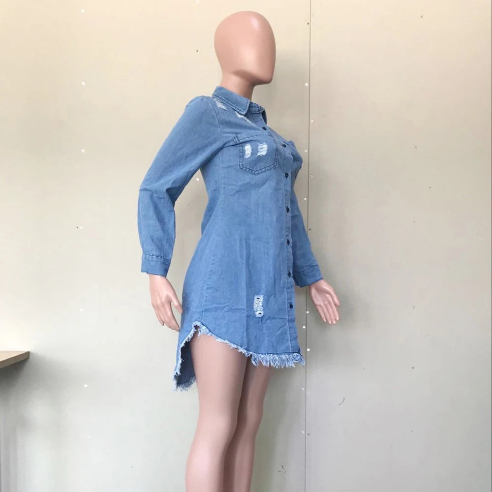 Vintage Denim Dress